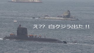 2025海上自衛隊呉基地 空母KAGA「2月22日（土）KAGAさん戻る👀?? 超～～、激⁇塩　白クジラ入港」①