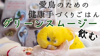 愛鳥のための健康手づくりごはん 野菜のすりおろし グリーンスムージーを飲む Homemade Healthy Meals for Your Loved Birds Green Smoothies