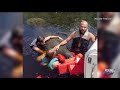 snn manatee rescue assisted by citizens