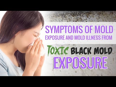 Symptoms of Mold Exposure and Mold Illness from Toxic Black Mold Exposure Symptoms of Mold Exposure and Mold Illness from Toxic Black Mold Exposure