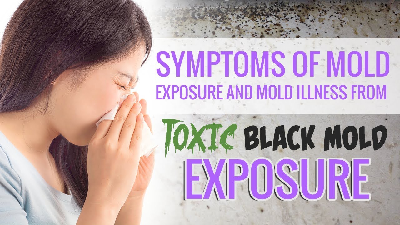 Mold Sickness Symptoms