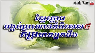 អត្ថ​ប្រយោជន៍​ ស្ពៃក្តោប | Cabbage​ benefits