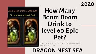 How Many Boom Boom Drink to level 60 Epic Pet? Dragon Nest SEA