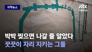 [자막뉴스] 난도질 당하고도 '포기 못 해'…꿋꿋이 자리 지키는 그들 / JTBC News