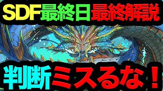 【今すぐ見ろ！】SDF最終解説！◯◯しない人100％後悔します！本日最終日！【パズドラ】