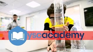 YSC ACADEMY: CURRICULUM