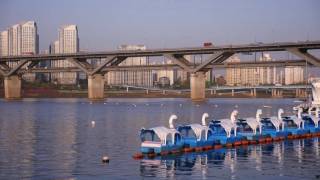 청담대교 아래, 한강  Ttukseom Resort \u0026 Hangang River_Seoul_Korea