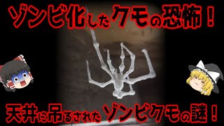 【閲覧注意】天井に吊るされたゾンビクモ、その恐るべき目的とは？真菌の狙いを探る！【ゆっくり解説】