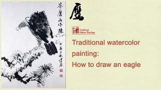 Traditional watercolor painting:How to draw an eagle   老鹰的画法  国画  手绘  #painting