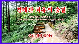 국립횡성숲체원 둘레길 코스