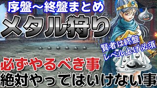 【ドラクエ3リメイク】序盤から終盤までメタル狩りまとめ！　やるべき事やってはいけない事！毒針～会心必中までの長い道のり【HD-2D】