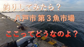 釣りしてみたら？八戸市第3魚市場 ここってどうなのよ？