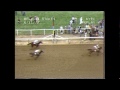 seattle slew 1977 belmont stakes