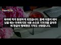 실화사연 아내 사망보험금 5억원의 수익자가 나 아닌 낯선 사람으로 되어있는데 “대체 누굽니까 첨듣는 이름이에요” 다이어리 속 주소로 찾아가 벨누르자 나온건 죽은 아내였습니다.