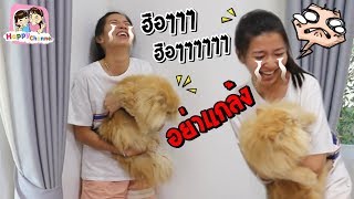 แกล้งพี่ฟิล์ม กรี๊ดบ้านแตก พี่ฟิล์ม น้องฟิวส์ Happy Channel