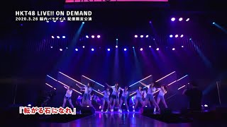 HKT48 研究生「脳内パラダイス」配信限定公演　ダイジェスト映像