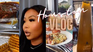 VLOG: I'M MOVING TO HOUSTON?!?! HOUSTON IS A VIBE | NESSA