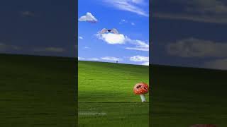 👁️☁️Dreamcore/Weirdcore/Traumacore/Nostalgiacore liminal spaces all in one video(pt.1)