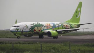 Solaseed Air ナッシージェット 【宮崎空港】