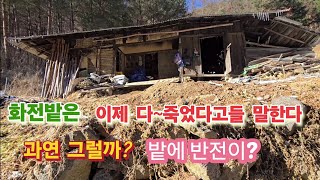 설마 지금도 화전밭에 농사를 지을까? 놀랍게도 여기 90세 어르신의 밭에는?