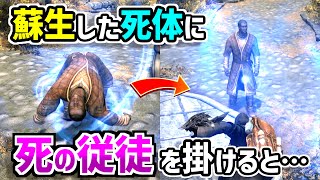 【Skyrim】死の従徒の隠し効果！この使い方に12年間誰も気づきませんでした…【ボイスロイド解説】