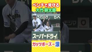 【大竹泣いてるやん】味方の援護にガッツポーズからの…阪神タイガース密着！応援番組「虎バン」ABCテレビ公式チャンネル #shorts