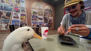 I took my duck to Wendys 🍔🦆