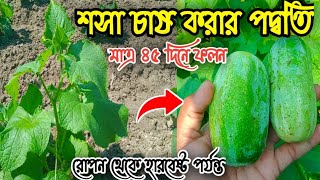 🔥গ্রীস্মকালে শসা চাষের পুরো পরিচর্যযা।How to Grow Cucumber 2022