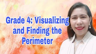 Visualizing and Finding the Perimeter