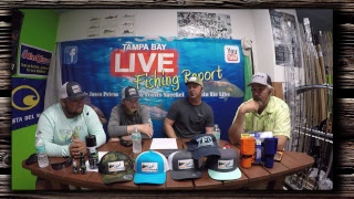:Tampa Fishing Report Live!!! How to catch fish in Tampa Bay!