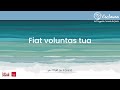 Fiat voluntas tua (lyrics)