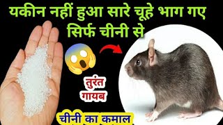 चूहों को बिना मारे घर से दूर भगाएं,एक भी चूहा नजर नहीं आएगा| Get Rid Of Rats,Chuhe Bhagane ka Tarika