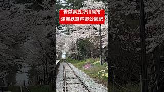 芦野公園駅　津軽鉄道　青森県五所川原市