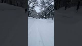 冬の北海道大学ランニング