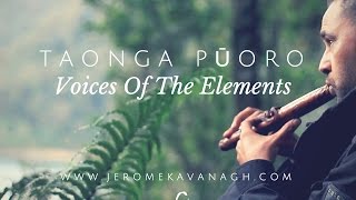 Taonga Pūoro - Voice Of The Elements