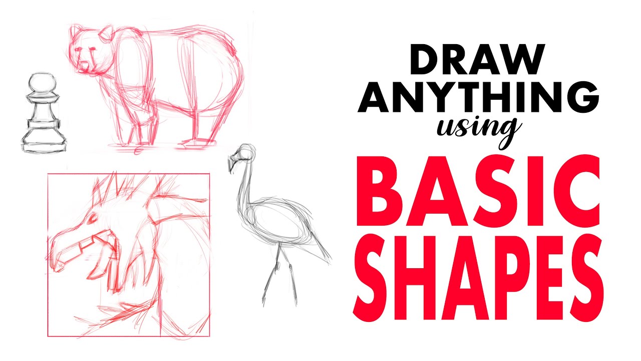 Basic Shapes Drawing