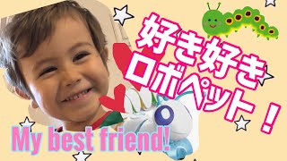 【Code-a-Pillar 】A Robot Toy Pet Koseh LOVES! プログラミングロボ  コード・A・ピラーで遊ぼう！バイリンガルファミリー