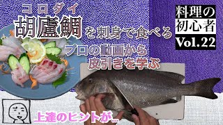 美味いのか？「コロダイの刺身」料理の初心者 Vol.22 外道と言われても、美味しくないとは限らない！今回は苦手な「皮引き」を勉強しました。何に気を付けて練習すれば上達するか？プロの動画を検証。