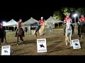 asabranca de três corações campeã das campeãs concurso de marcha do haras do roby