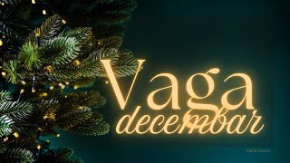 VAGA   Sreća prati hrabre! Uhvatite sreću u decembru!🙏 ☘️ 💫DECEMBAR 2024🌟 tarot citanje