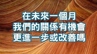 【Elaine的塔羅- 愛情篇】未來一個月我們的關係有機會更進一步或改善嗎? (曖昧/交往/冷戰/斷聯) 答案有雷，請小心使用!!