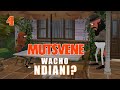 Ep 04 Mutsvene Wacho Ndiyani