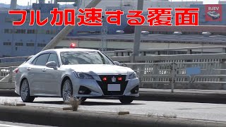 発射されたプ○ウスミサイルを見事に捕獲する覆面パトカー🚨 / 高級BMWバイクが検挙される