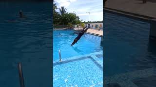 diving into the pool#swimming #tamil #coaching #learnswimming #shorts #diving