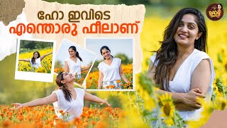 Visiting Sunflower Farm For First Time | Badai Talkies By Arya | Arya Badai