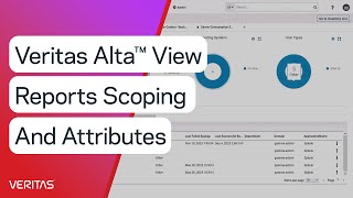 Veritas Alta™ View Reports Scoping and Attributes