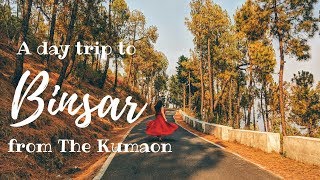 Vlog | A day trip to Binsar from The Kumaon | Uttarakhand