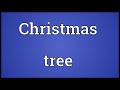 christmas tree meaning