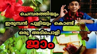 ചെമ്പരത്തിയും ഇരുമ്പൻ പുളിയും കൊണ്ട് ഒരു അടിപൊളി ജാം | kerala | cooking