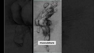 O Segredo de Michelangelo: A Forma Humana